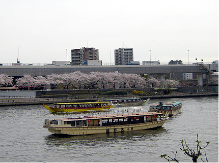 隅田川・向島方面の桜並木と屋形船