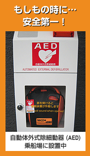 自動体外式除細動器AED
