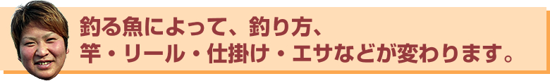 釣る魚によって、釣り方、竿・リール、仕掛け・エサなどが変わります