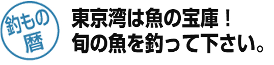 釣りもの暦-東京湾は魚の宝庫！旬の魚を釣ってください