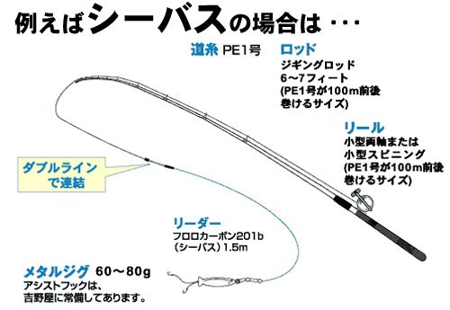 シーバスのタックル説明図