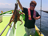 只今の釣りもの マダコ船