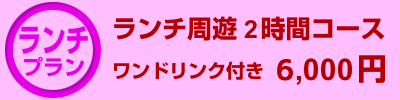 ランチ周遊2時間コース
