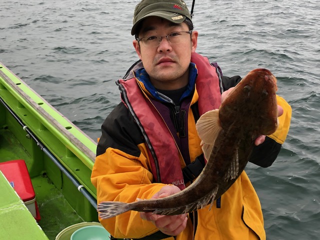 サゴシは朝から高活性!