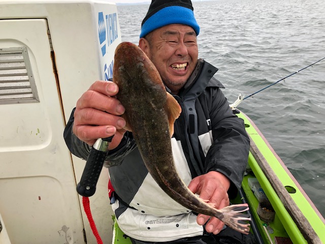 サゴシは朝から高活性!