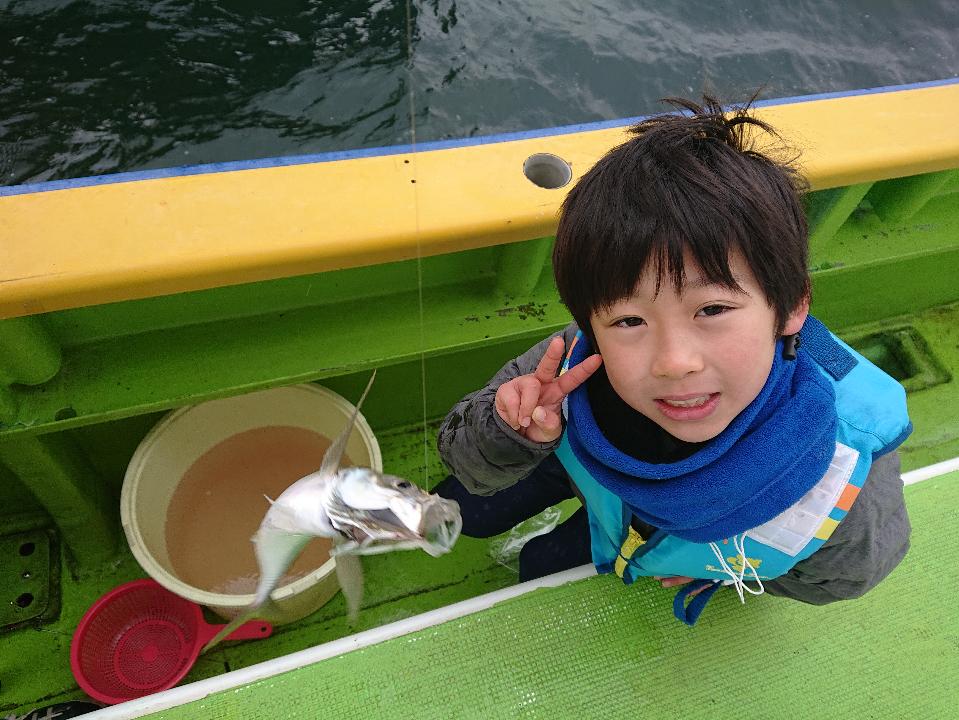 サゴシは朝から高活性!