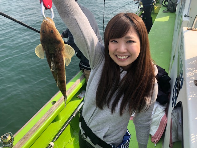 ヒラメ多く!