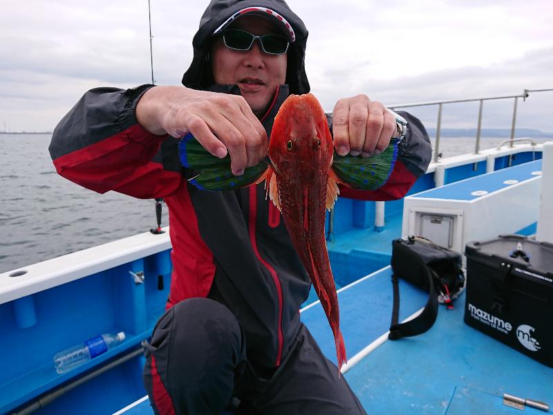 ジギング船でサバが多数