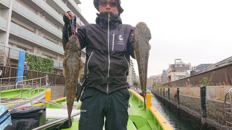 本日は釣果のみの報告