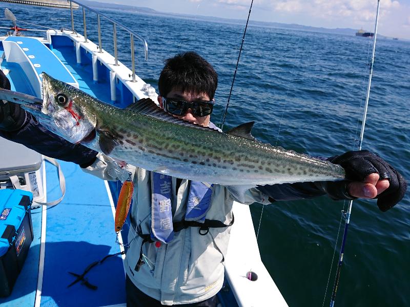 ジギング船は多彩なゲスト!