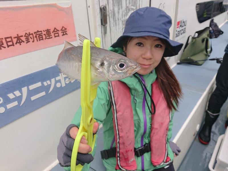 マゴチは朝一に集中も・・