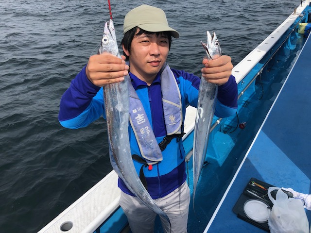 タチウオの群れまとまる!