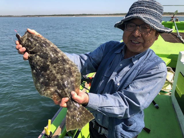 タチウオの群れまとまる!