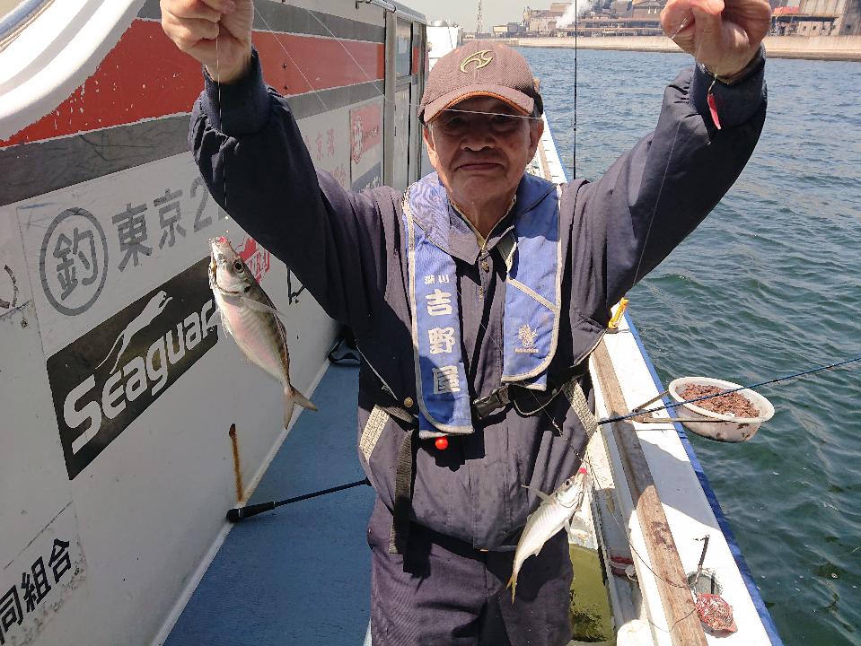 タチウオの群れまとまる!
