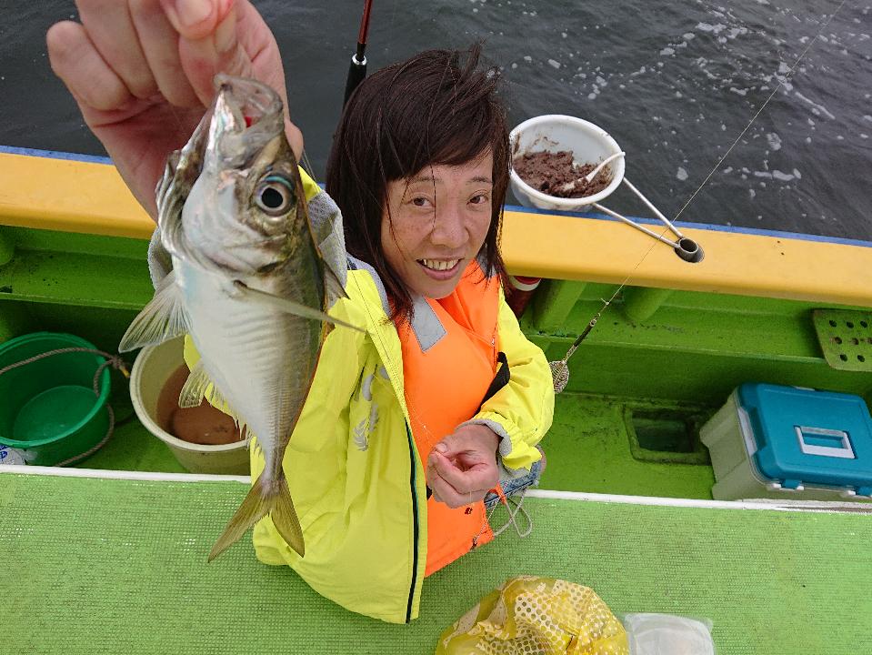 本日は釣果のみの報告