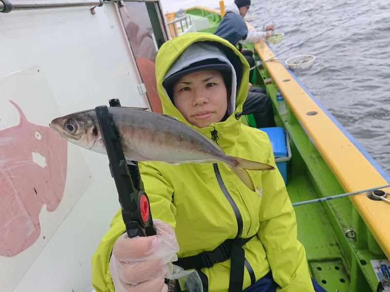本日は釣果のみの報告