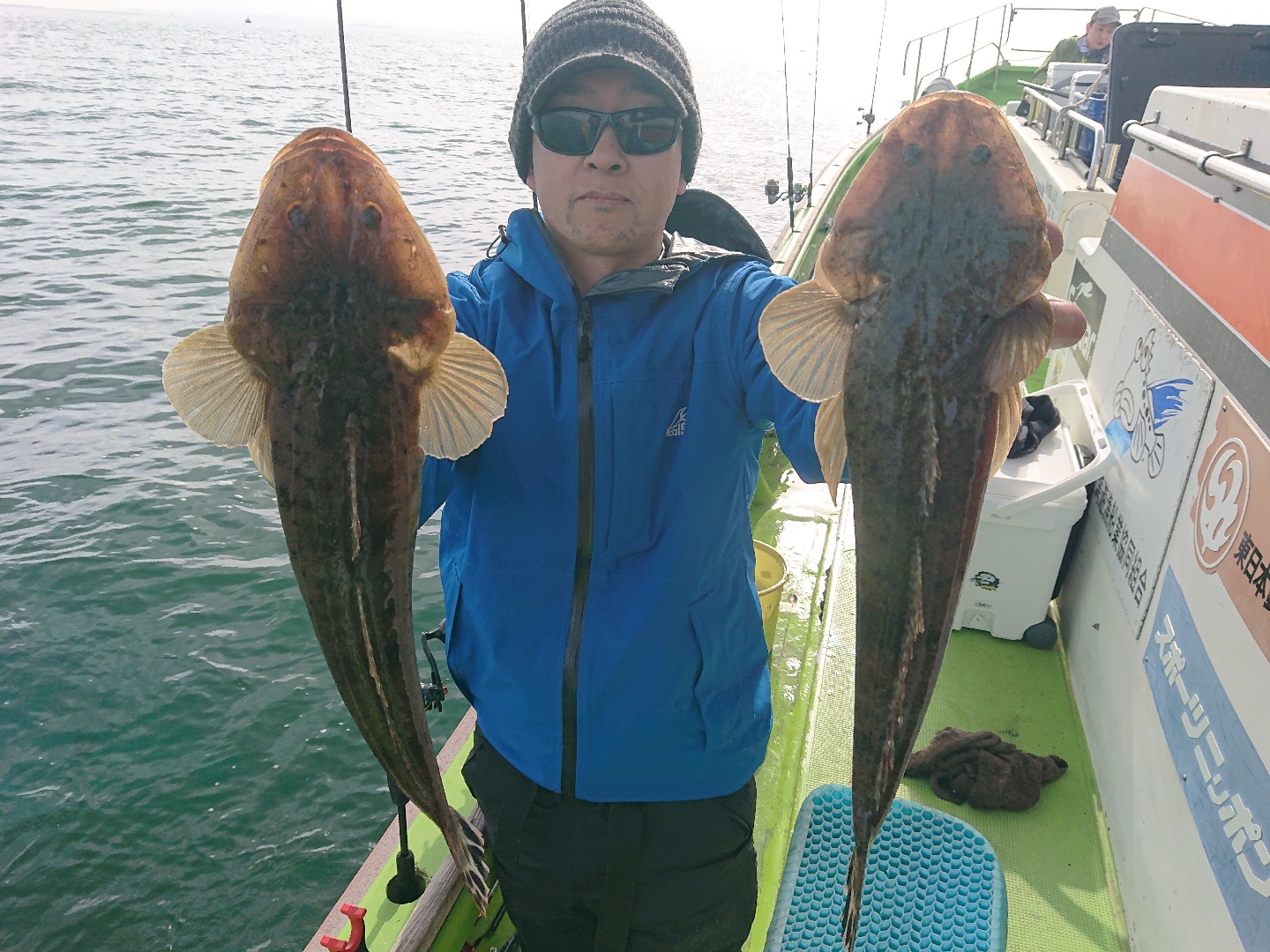 東京湾 釣り船ガイド 深川吉野屋 釣果情報