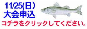 11/25(日）シーバス大会参加者募集中！